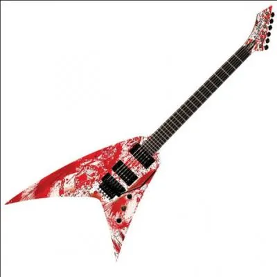  qui appartient cette guitare ?