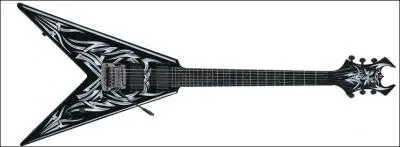  qui appartient cette guitare ?