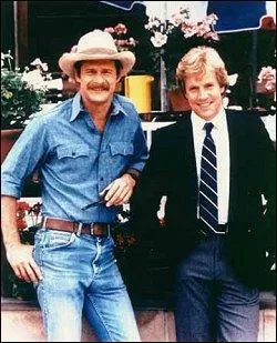 Quelle est cette série ?