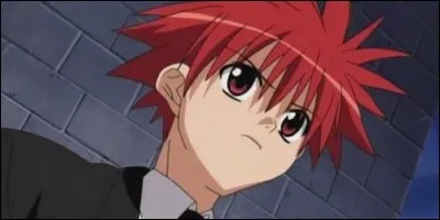 Qui est amoureux de Risa dans "D. A. Angel" ?