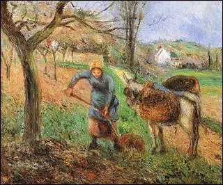 Paysanne avec un ne.