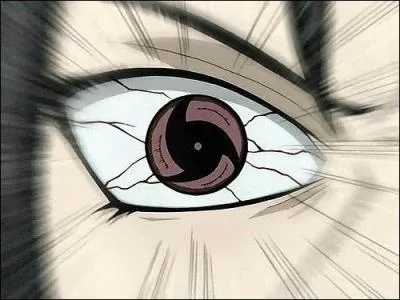 Comment a t'il obtenu cet oeil?