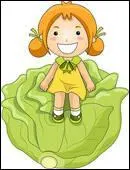  Etre dans les choux  signifie 