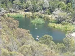 Cette le australienne a son propre diable. Quelle est cette les ?