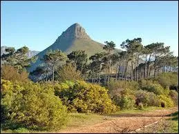 Quelle est la couleur dominante du drapeau du Cap-Vert, ce pays africain, archipel au large du Sngal ?