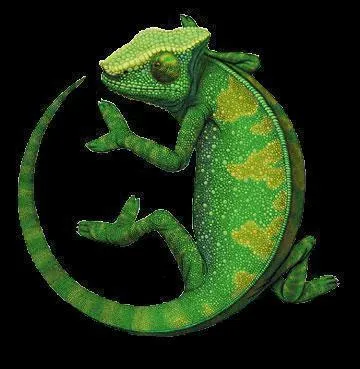 En 2012, quelle chanteuse et danseuse franaise de pop nous a dclar :  Alors je me transforme / M'adapte  la nature, au changement de saisons / Et a m'inspire.   ? Pensez  la mascotte de Quizz.biz !