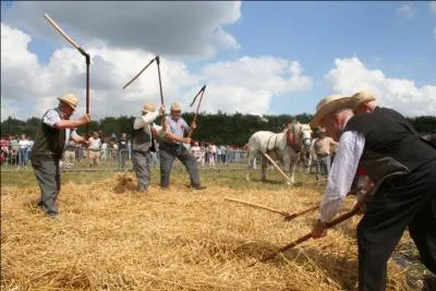 Quel crivain du 19 me sicle a crit un livre qui vient du fond du peuple paysan,  la vie d'un simple  ?