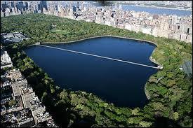 Au dbut du film, nous voyons le  rservoir , lac de Central Park, quel est ce film ?