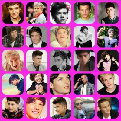 Comment les boys ont surnomm les fans ?