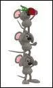 Les souris sont ...