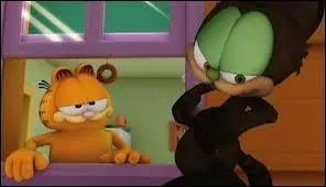 Qui est le chat noir sur la photo ?