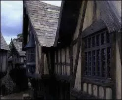 Quel est le nom de la ville o se rfugient Frodon et les Hobbits aprs s'tre fait pourchasser par les Nazgl ?