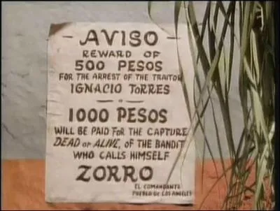 Que signifie  Zorro  en espagnol ?