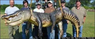 Choisissez l'une des trois expressions populaires suivantes !