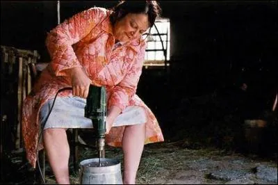 De quelle film est issue cette image ?