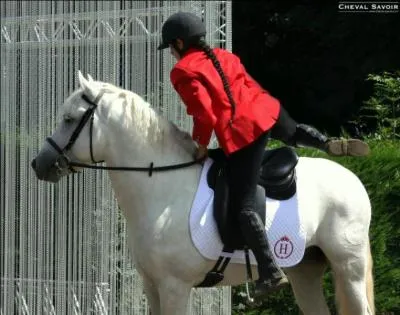 Pour monter au montoir on doit monter sur :