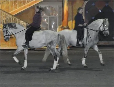 Quand vous circulez dans le mange et que vous avez le centre du mange  votre droite, vous tes piste :