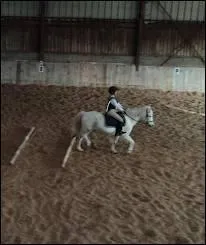 Quand tu arrives au trot dans la carrire et que en face de toi quelqu'un arrive en face de toi au pas qui est prioritaire ?