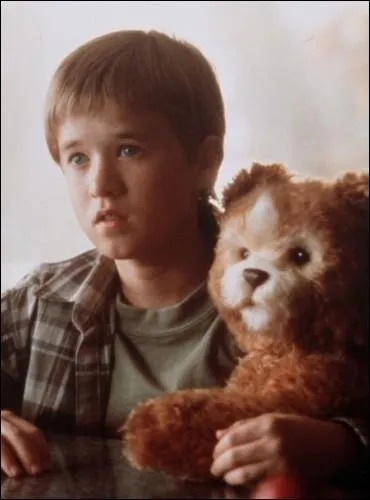 Dans  A. I. , Intelligence Artificielle  qui est le compagnon de ce petit robot ?