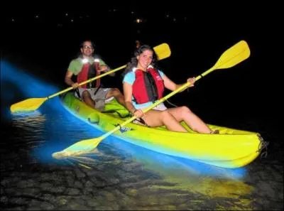 Quel est le seul animal aquatique capable de crer de la lumire  lui tout seul ?