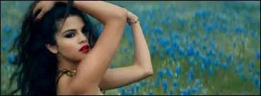 Dans le groupe de Selena  The Scene , combien y a-t-il de membres ( part Selena)