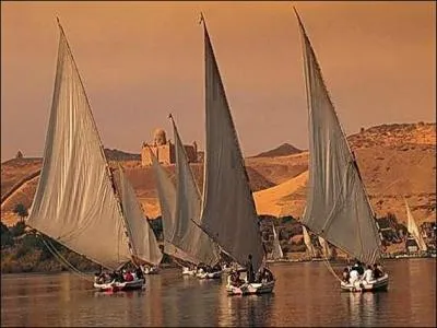 Quels bateaux sont représentés ?
