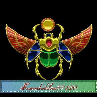 Que représente ce scarabée ?