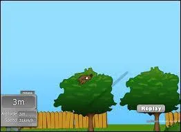 Quel jeu correspond  cette image ?