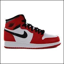 Quelles sont ces chaussures ?