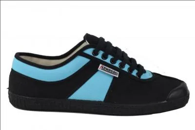 Quelles sont ces chaussures ?