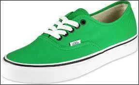 Quelles sont ces chaussures ?