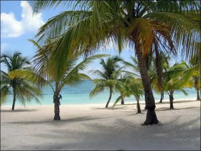 Quelle est la langue officielle de la Rpublique Dominicaine ?