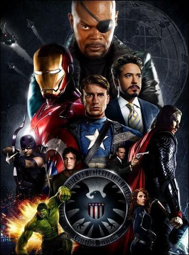 Pour quelle organisation les Avengers travaillent-ils, dans le film qui porte leur nom ?
