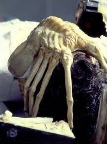 Dans  Alien, le huiti�me passager , quel est le membre de l'�quipage qui se fait attaquer par un Facehugger, introduisant ainsi la B�te � l'int�rieur du Nostromo ?