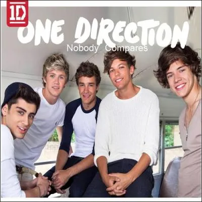 (Nobody Compares)  Cause no one ever looked so good...  