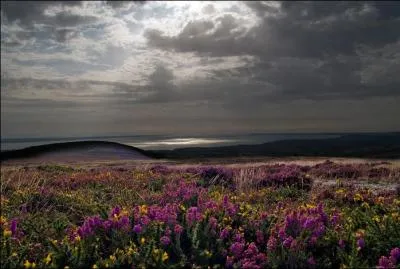 Montagne de la presqu'le de Crozon, le Mnez-Hom culmine  330 mtres, il termine :