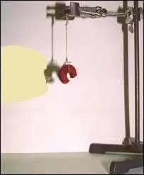 Un aimant suspendu s'aligne toujours le long d'un axe. .