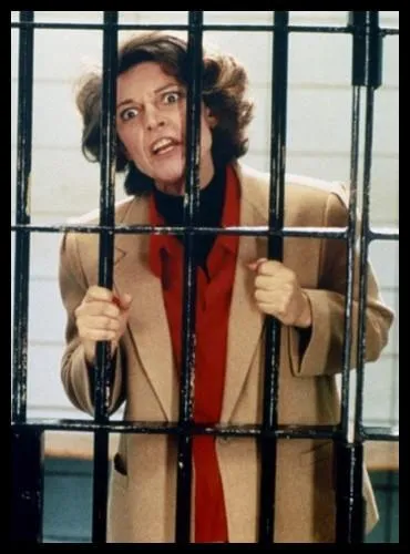 En 1984, Sidney Lumet donne  Anne Bancroft le rle d'une excentrique atteinte d'une tumeur au cerveau et qui, ds qu'elle l'apprend, se met   la recherche de _____ , son idole de toujours. Compltez ce titre.