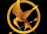 Quiz Hunger Games : tome 1 (le livre)
