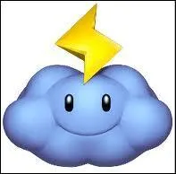 Cet objet existe-t-il dans Mario Kart Wii ?