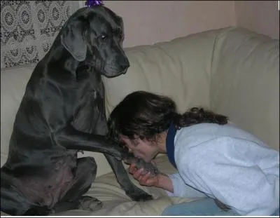 Le fait d'tre inform de la rglementation et des lois en vigueur permet de mieux consommer