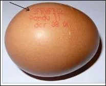 Le premier chiffre crit en rouge sur l'oeuf permet de savoir comment sont leves les poules pondeuses.