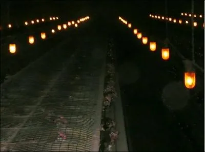 Les poules de plein air ou bio, peuvent sortir en journe et profiter de la lumire et du soleil, elles peuvent gratter le sol et se baigner dans la poussire pour dgraisser leurs plumes et se dbarasser des parasites. Elles vivent dans l'quivalent de 2, 3 feuilles A4 (6  9 poules au m2) accs  l'extrieur ; 4, 5m m2/poules.