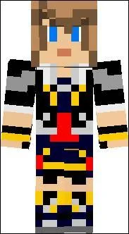 A qui appartient ce skin ?