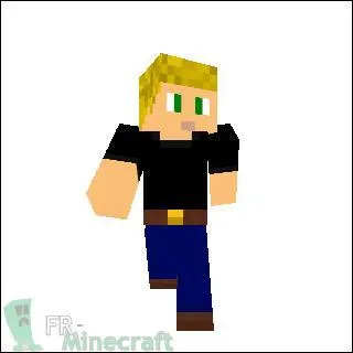 A qui appartient ce skin ?