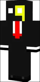 A qui appartient ce skin ?