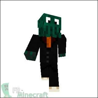 A qui appartient ce skin ?