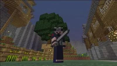 A qui appartient ce skin ?