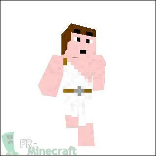 A qui appartient ce skin ?