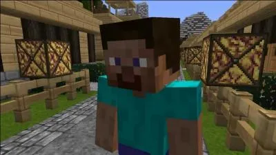 A qui appartient ce skin ?